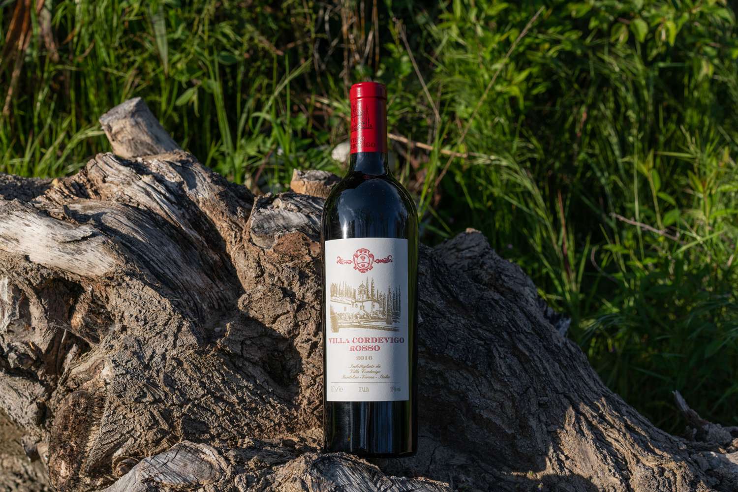 Wine tasting Wine tasting