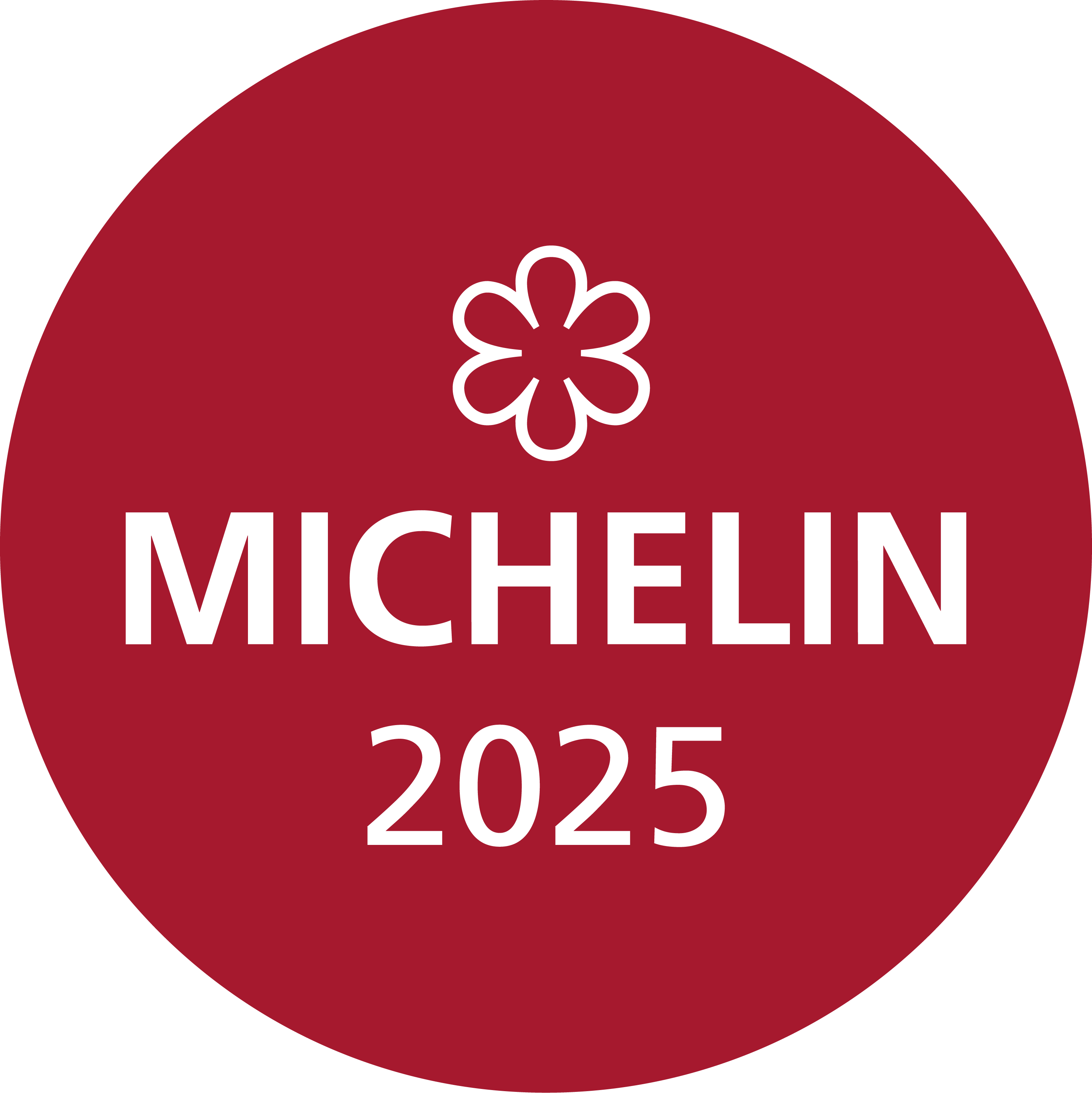 michelin